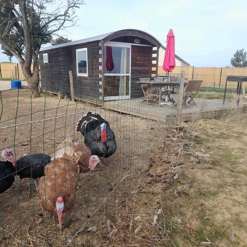 Ferme et Ecurie du Vermois — Tiny houses & containers aménagés — Burthecourt-aux-Chênes