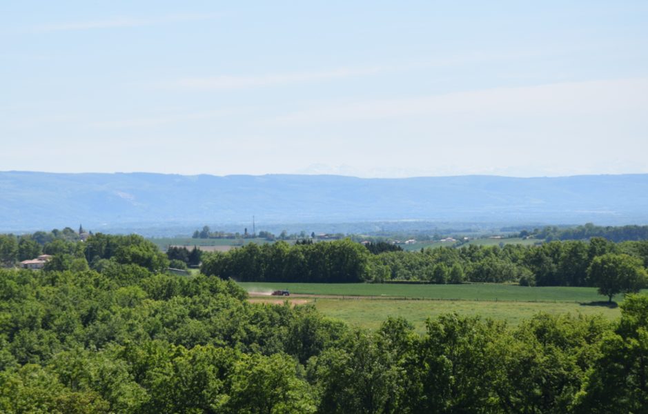 Randonnée des Puechs à Montfa - 12,2 km sur les traces de Toulouse-Lautrec — Balades sur les pas des peintres — Montfa