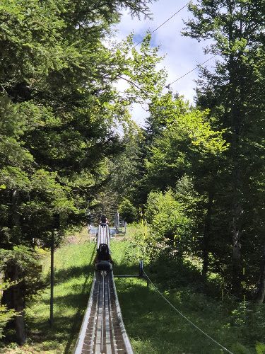 Luge sur rail des Carroz - Luge sur rails & luge 4 saisons - Arâches-la-Frasse