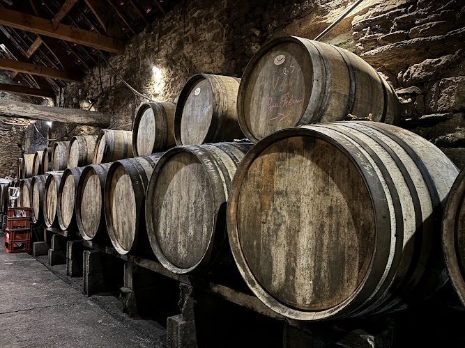 Domaine de Kervéguen - visite de cave et cidres bio à Guimaëc — Visite de cidrerie & dégustation de cidre — Guimaëc