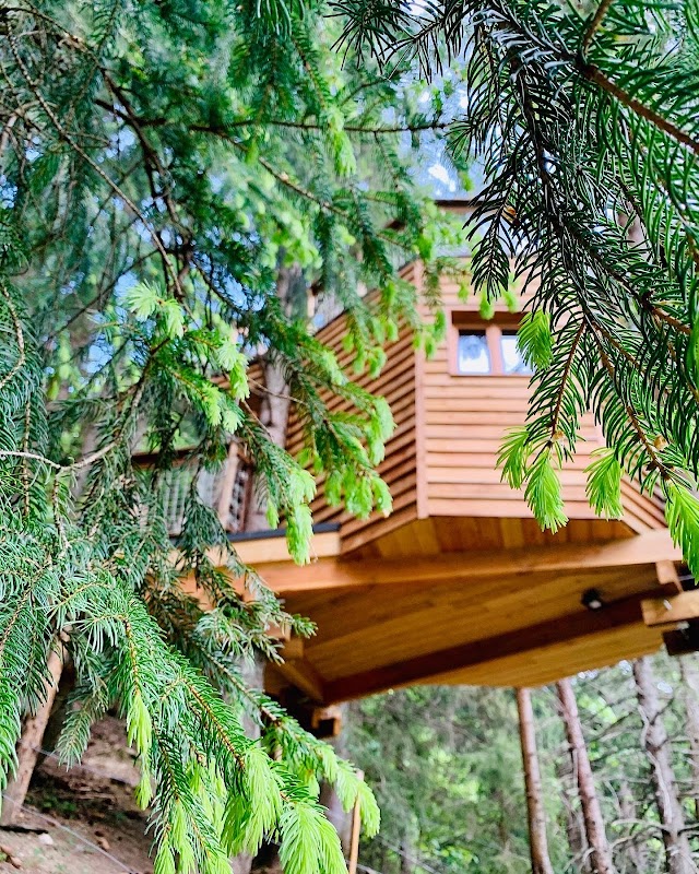 Cabane dans les Arbres - Valmo'Insolite — Cabanes dans les arbres — LES AVANCHERS VALMOREL