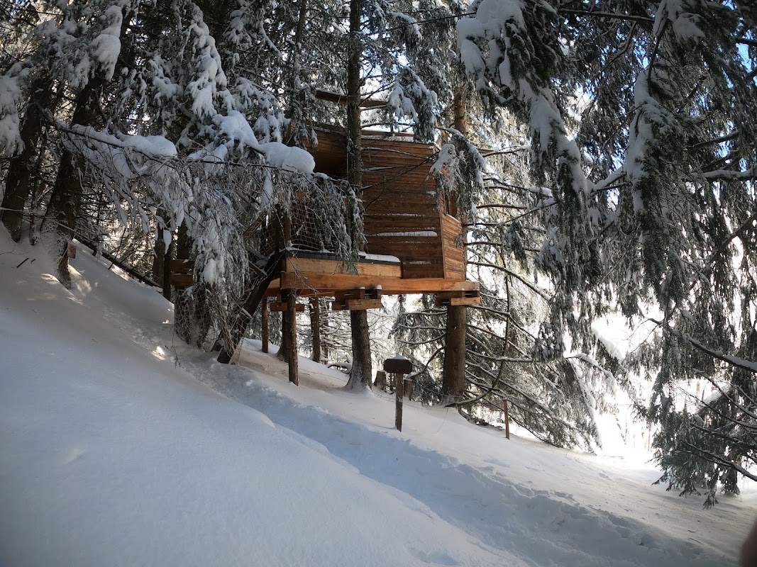 Cabane dans les Arbres - Valmo'Insolite