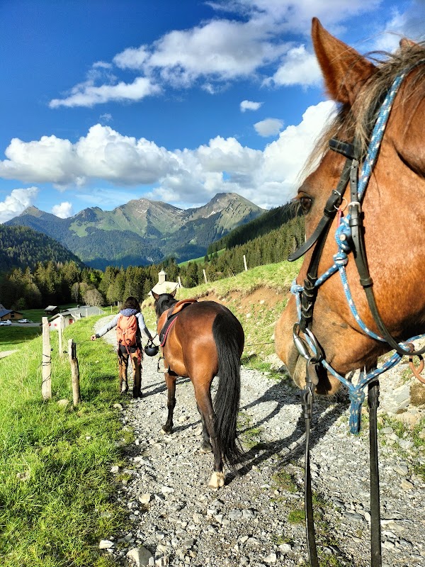 Alpes Équitation