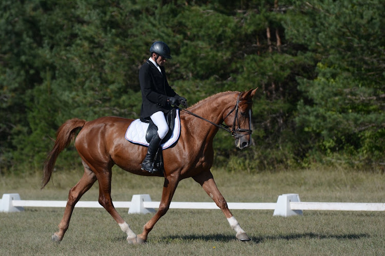 CENTRE EQUESTRE DU LOUVANT — Balade à cheval — Cousances-lès-Triconville