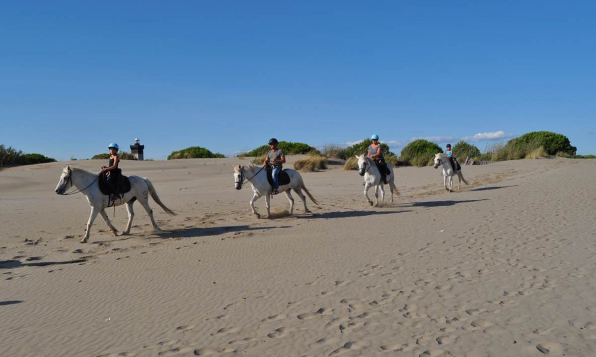 Ecurie des Dunes - promenade à cheval — Balade à cheval — Le Grau-du-Roi