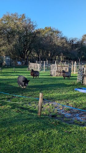 La Ferme Pédagogique de la Jarrie — Ferme éducative — Nesmy