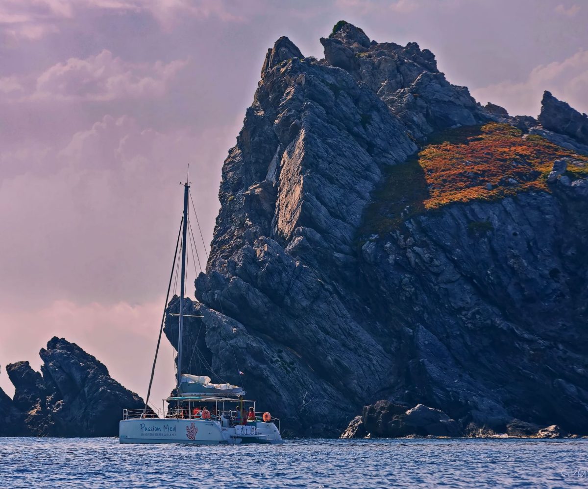 Passion Med - Catamaran Var - Excursion et privatisation bateau vers Porquerolles — Balade en bateau — Hyères