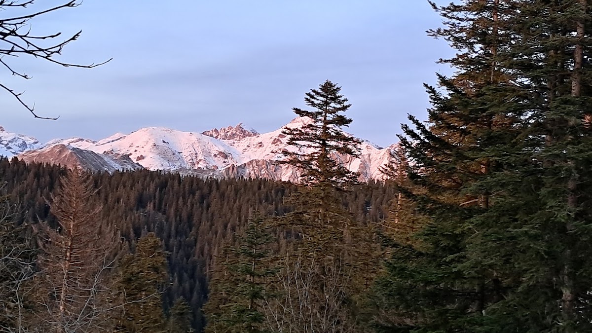 Turini - Camp d'Argent — Mountain Kart — La Bollène-Vésubie