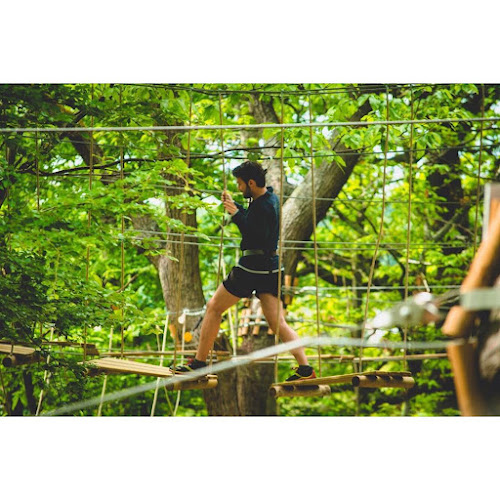 AccroCamp Saint-Germain en Laye | Accrobranche Yvelines 78