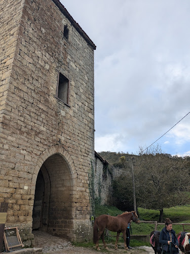 Ferme Latsaga-Zalditokia — Balade à cheval — Ostabat-Asme