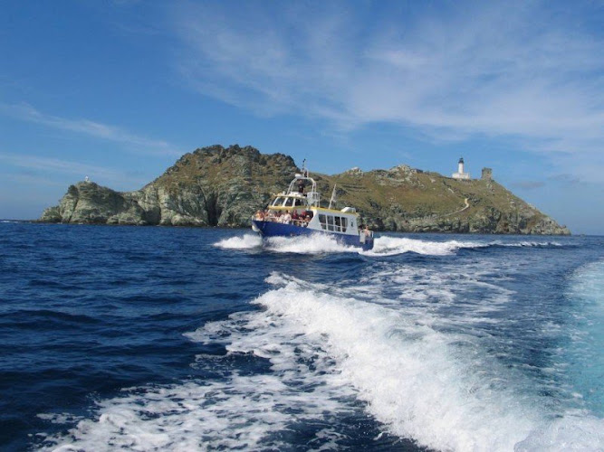 San Paulu - Bateau de Promenades en Mer - Sortie Dauphins - Pêche - Au Cap Corse — Observation de dauphins et baleines en mer — Rogliano
