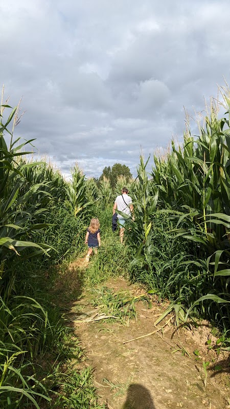 Labyrinthe Végétal Valognes