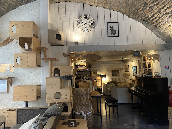 Café des Félins