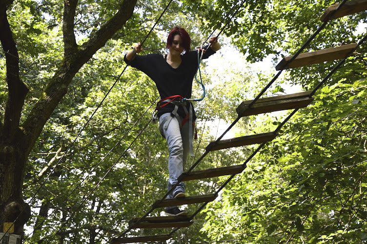 Accrobranche - Seine Port - Sainte Assise Aventure