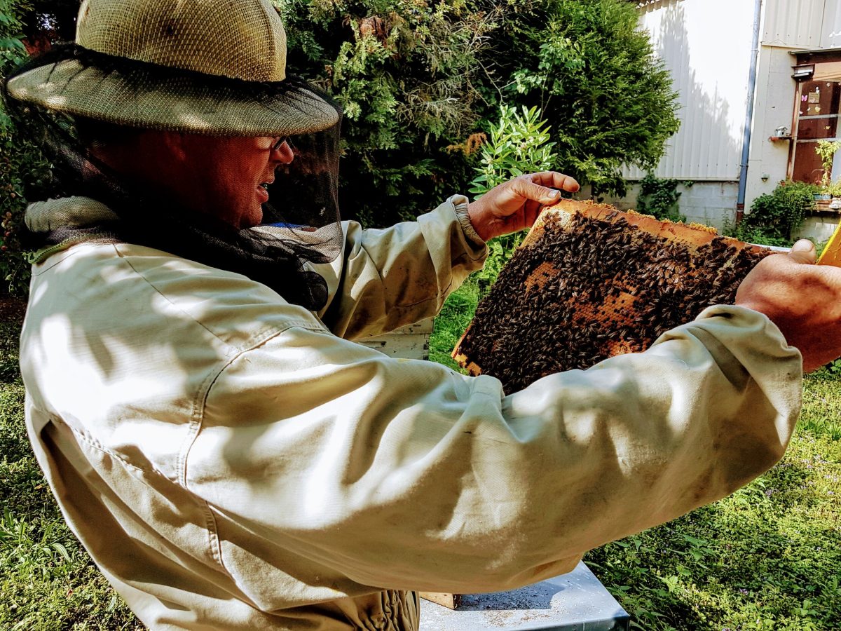 Les ateliers de l'Abeille — Visite de fabrique gourmande & spécialités du terroir — Chavignon