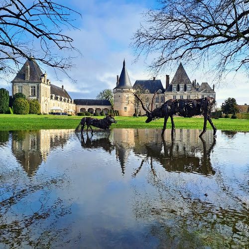 Château d'Azay-le-Ferron