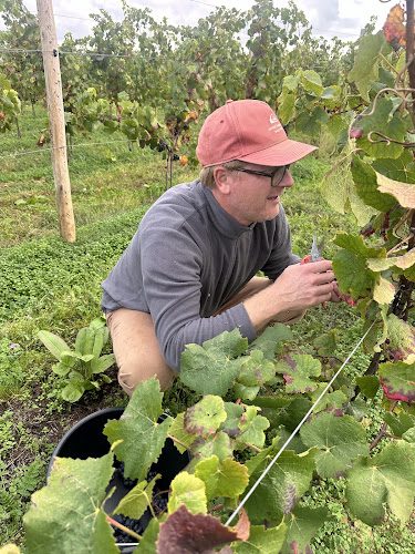 Domaine des terre-Neuvas — Découverte des terroirs et vignobles & dégustations — Erquy