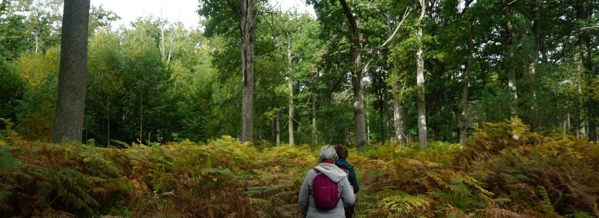 Géocaching du Pays Houdanais : 3 parcours thématiques — Houdan