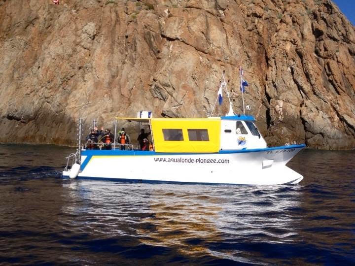 Aqualonde - exploration à Port-Cros, Porquerolles et sur les épaves — Plongée sous-marine & exploration — La Londe-les-Maures