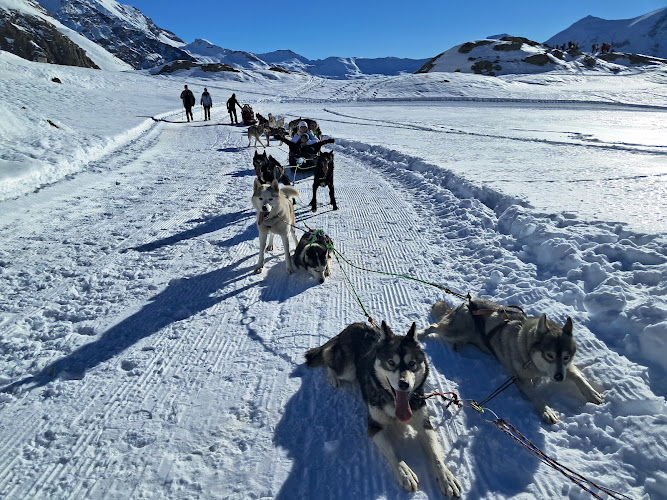 Chiens de traîneau Nomad'esprits — Cani-Rando — Orcières