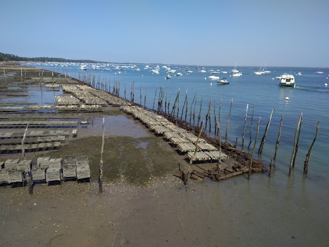 Bassin Arcachon Croisière