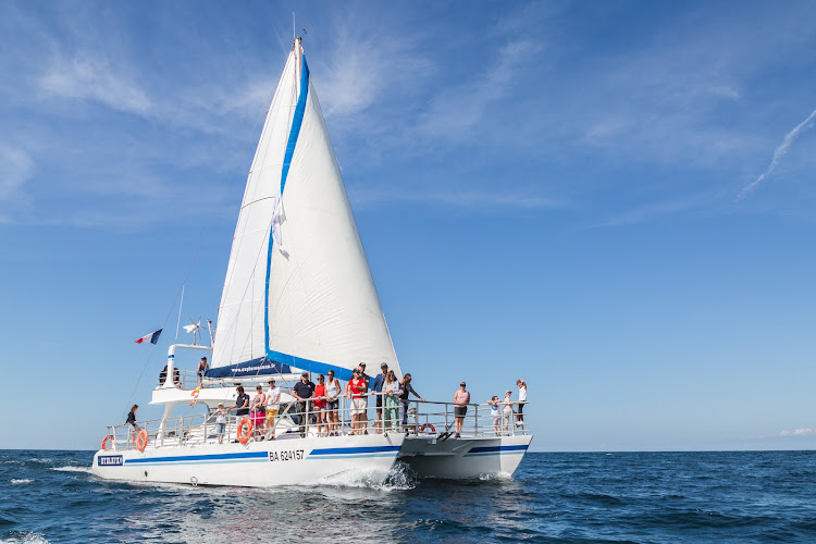 Explore Océan 🐬 - Catamaran Atalaya — Observation de dauphins et baleines en mer — Hendaye