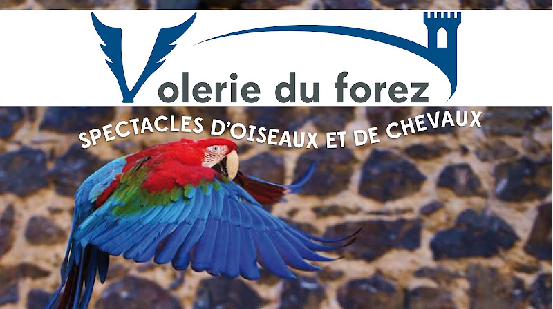 Volerie du Forez — Ferme éducative — Marcilly-le-Châtel