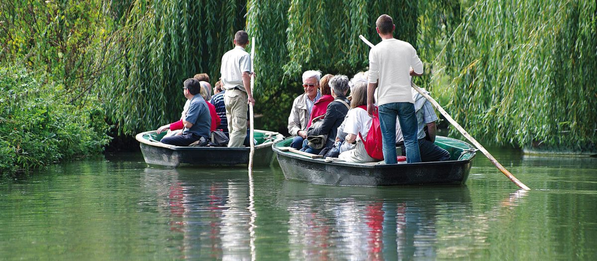 Balade apéro en barque dans le Marais poitevin – Embarcadère Cardinaud — Dîner-croisière & croisière gourmande — Magné