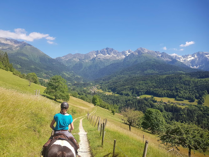 Les chevaux des crêts - Balade à cheval à Laval en Belledonne — Laval-en-Belledonne