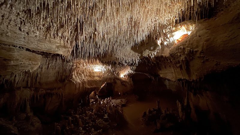 Grottes de Cougnac - deux cavités et peintures originales vieilles de 30 000 ans — Visite de grottes & gouffres — Payrignac