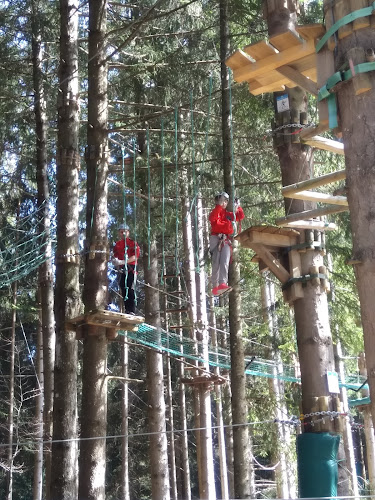 Arbraventure