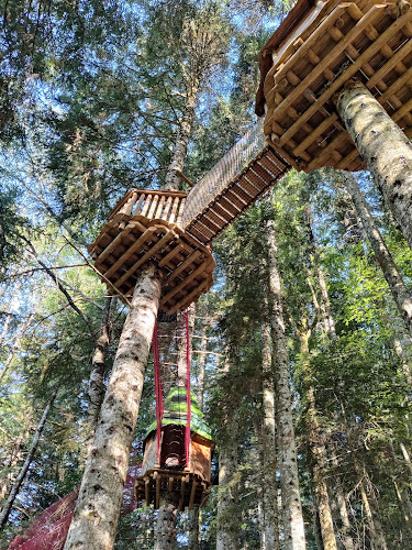 Le Pays Suspendu des Géants : filets suspendus dans les arbres