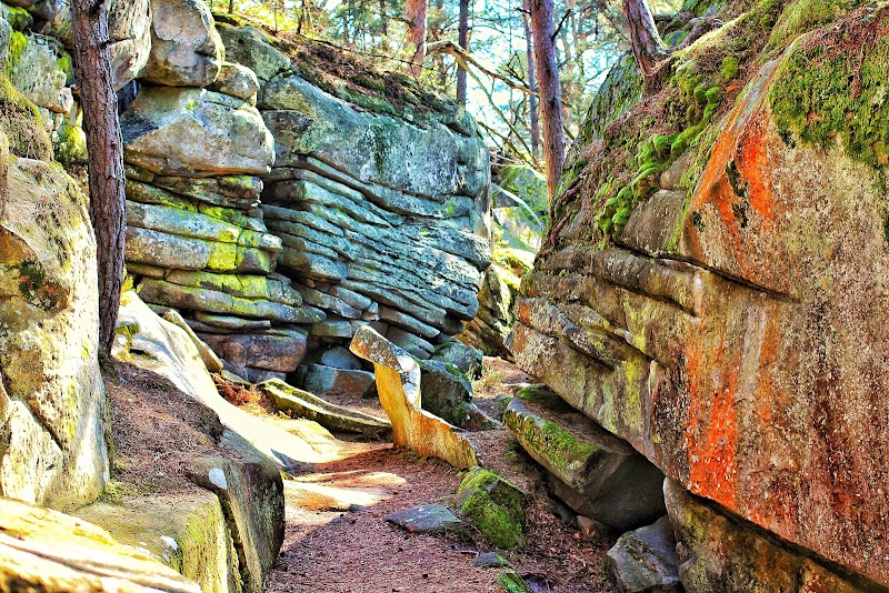 Forêt de Fontainebleau