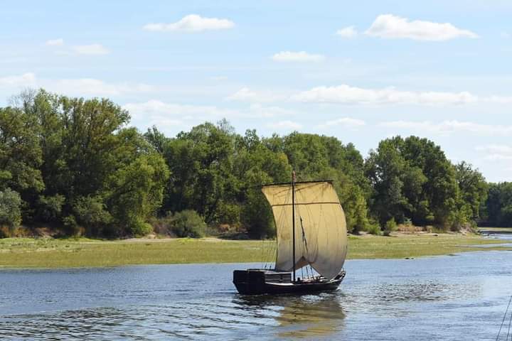 Fer de Loire — Dîner-croisière & croisière gourmande — Mauges-sur-Loire