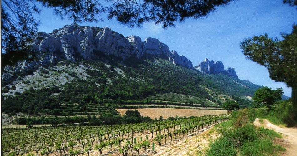 Dentelles de Montmirail - 5 km du Rocher du Midi au col du Cayron