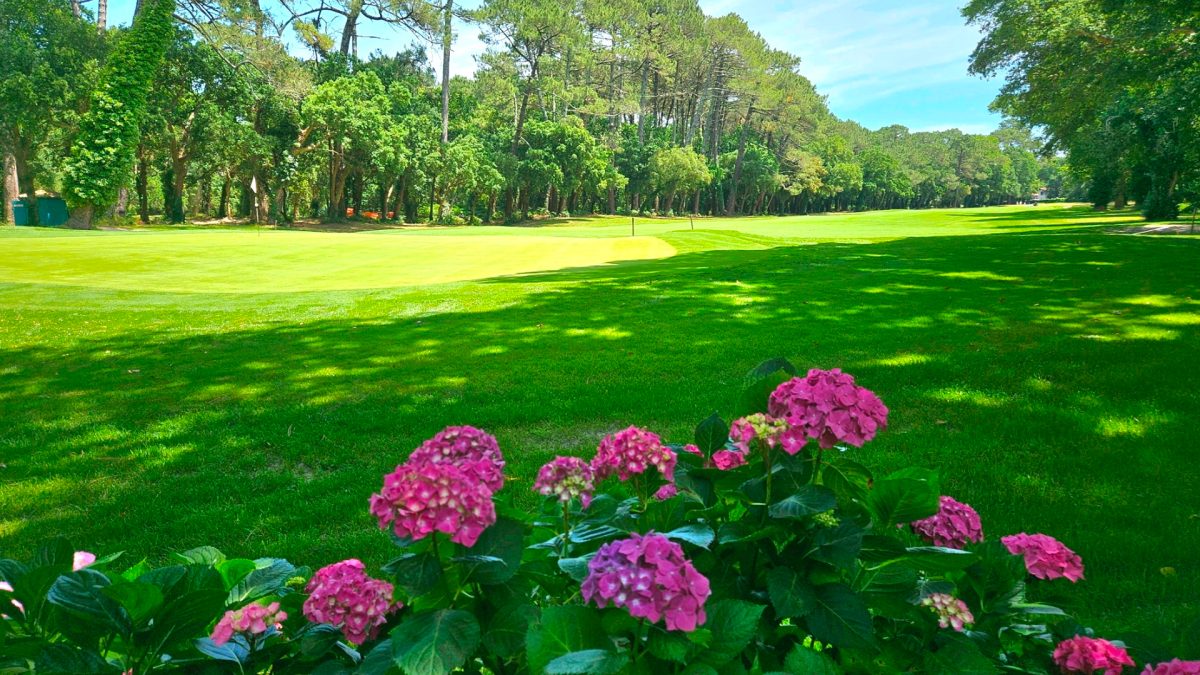 Golf d'Hossegor — Soorts-Hossegor