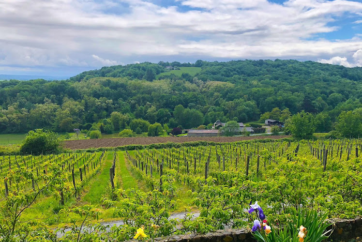 DOMAINE PICHARD
