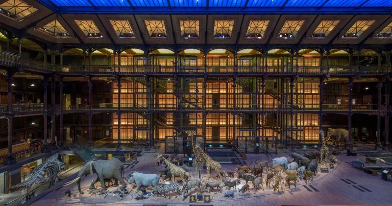 Grande Galerie de l'Évolution — Musées d'histoire naturelle — Paris