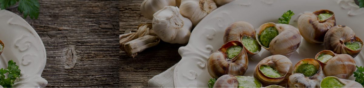 La Cagouille Charentaise — visite de l’élevage d’escargots — Rencontre & dégustation chez le producteur — Asnières-sur-Nouère