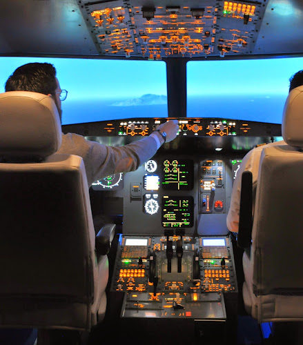 AviaSim Bordeaux — Simulateur de vol — Bordeaux