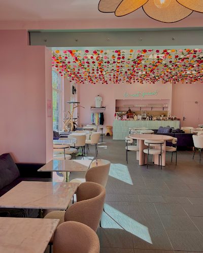 Le Cat-Quart — Cafés à Animaux (chats, chiens...) — Haguenau