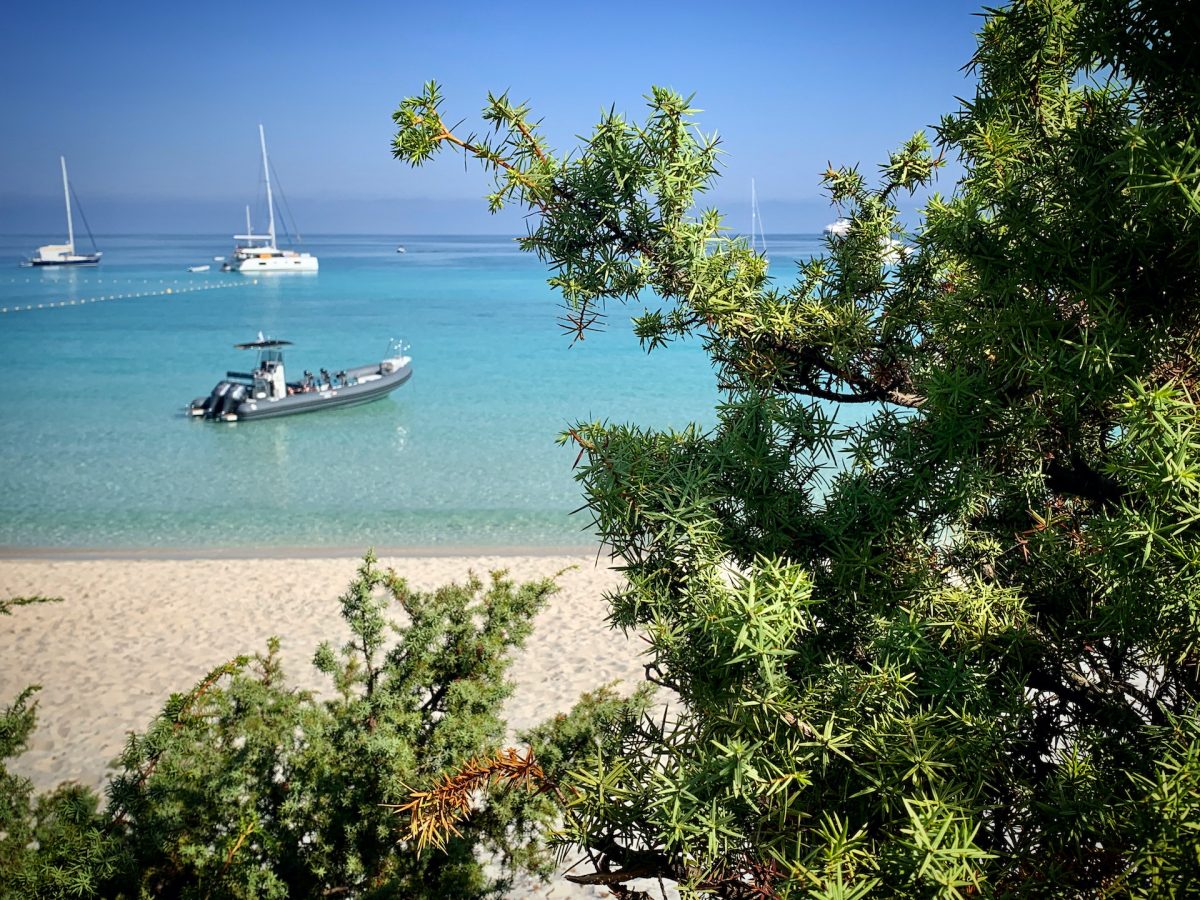 Balagne Aventures Corsica -Promenade En Mer- Sant Ambroggio Lumio Corse — Balade en bateau — Lumio