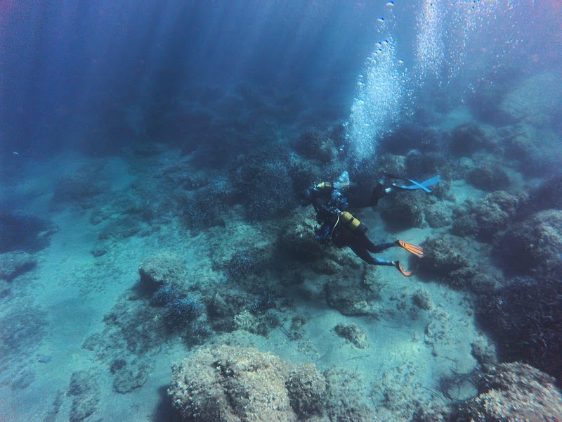 Capi Corsu Diving - Giraglia, Sainte-Marie et épaves du Cap Corse — Rogliano