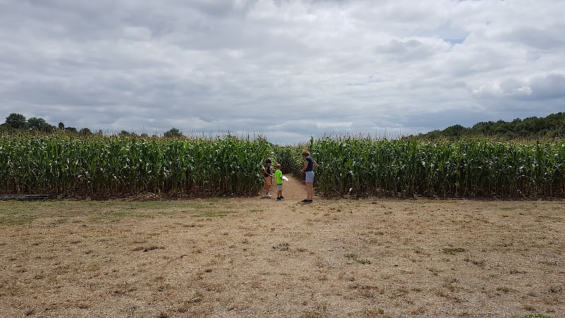 labyrinthe végétal les fées mères — Labyrinthes végétaux — Ribagnac