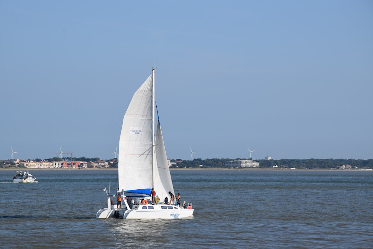 mouette and sea