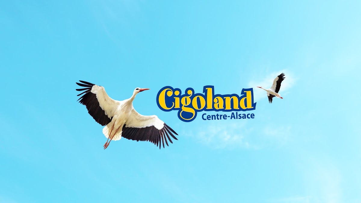 Cigoland Parc d'attractions et de loisirs — Parcs d'attraction — Kintzheim
