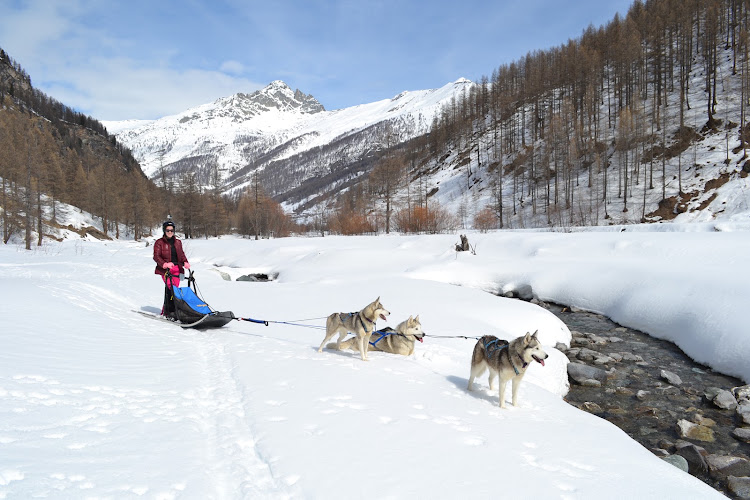 Azak Mushing — Cani-Rando — Abriès-Ristolas