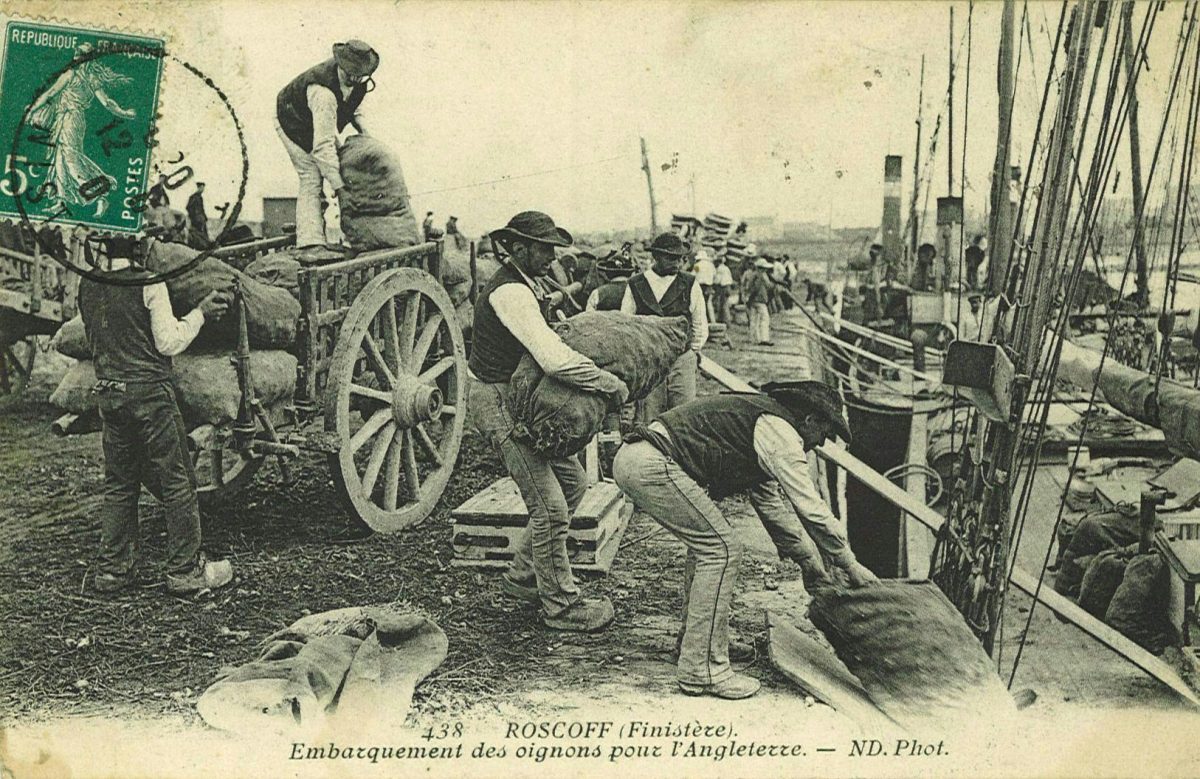Fête de l'Oignon de Roscoff - Johnnies et saveurs bretonnes - Festivals - Roscoff