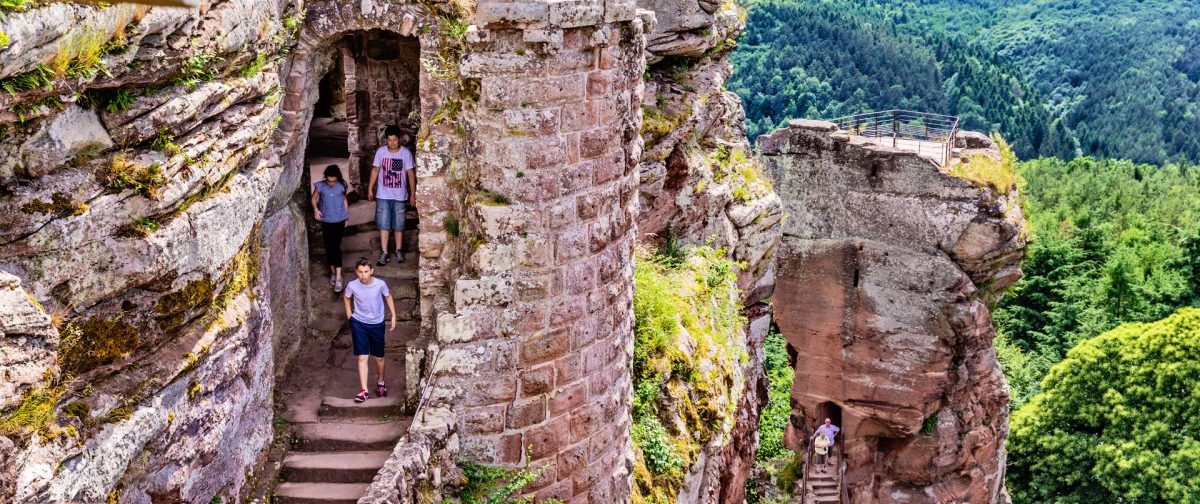 Château Fort de Fleckenstein — Visiter un château — Lembach