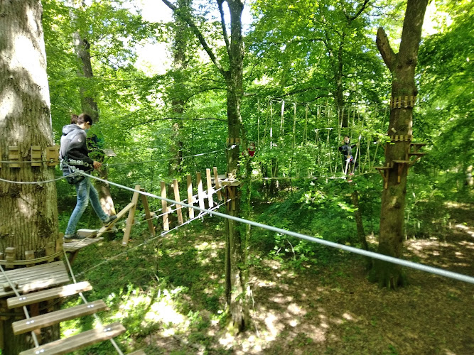 Jumping Forest Chenoise
